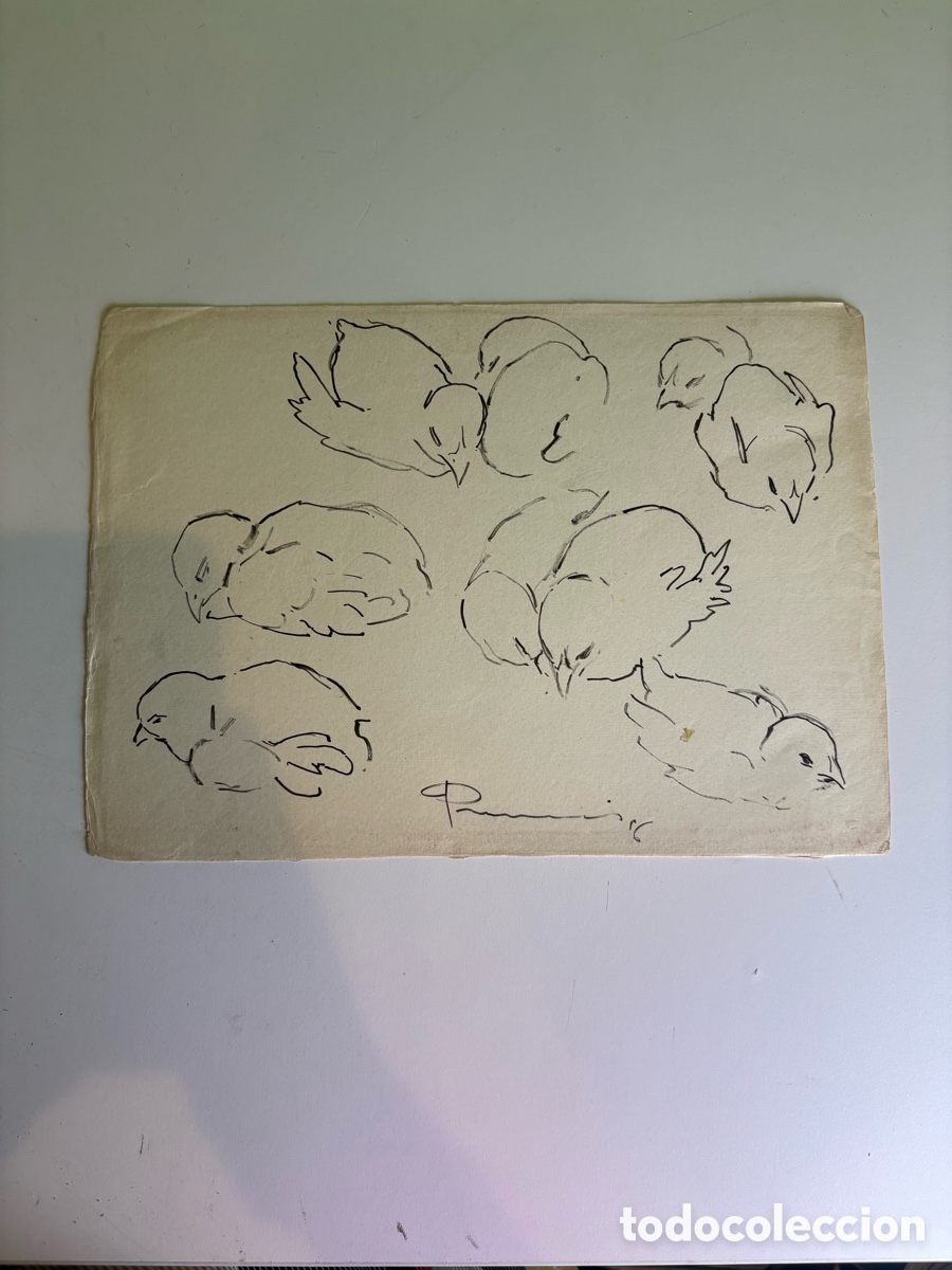 Arte: Carles Prun&eacute;s (1937-2017) Dibujo original firmado 1956 &ndash; Estudios de polluelos