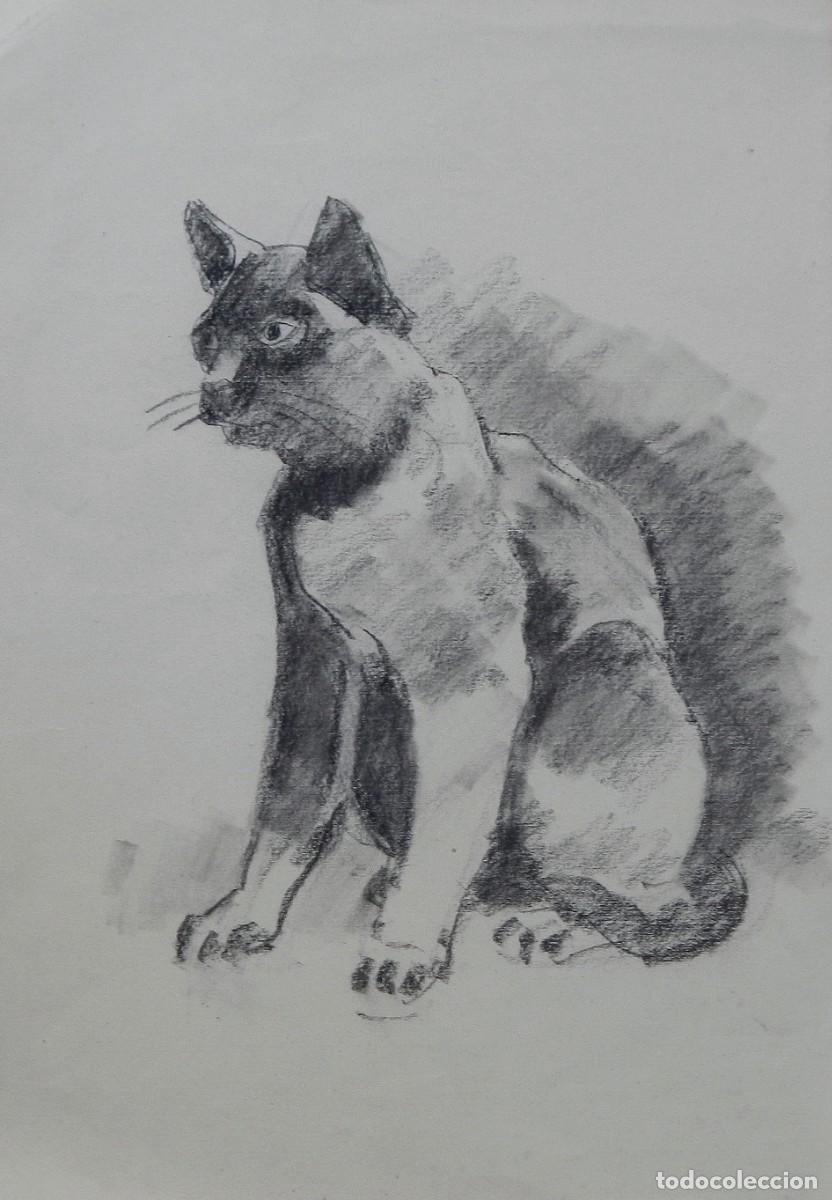Arte: Carlos Enrique Lencinas G&oacute;mez. Carboncillo sobre papel. &rdquo;Gato&rdquo;. Sin firmar. 46x32 cm.