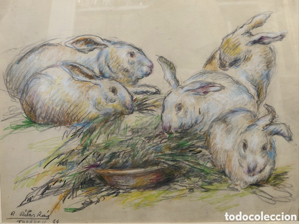 Arte: Ram&oacute;n Ribas Rius (1903-1983). Estudio de conejos, l&aacute;piz de color y grafito sobre papel.