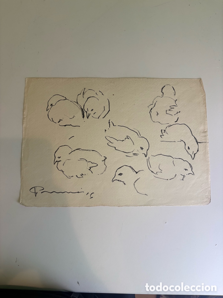 Kunst: Carles Prun&eacute;s (1937-2017) &ndash; Dibujo original sobre papel, estudio de polluelos firmado