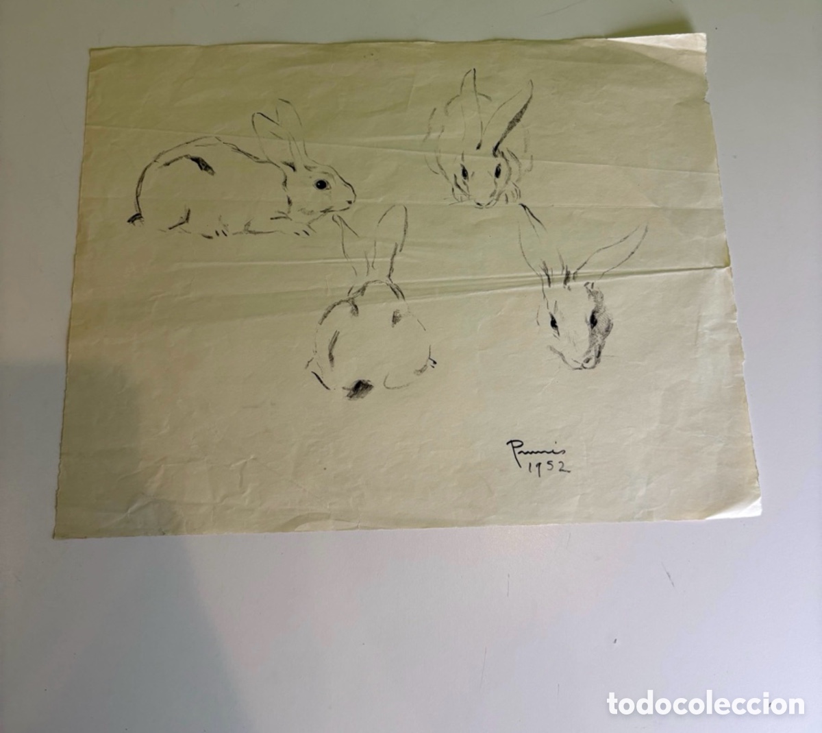 Art: Carles Prun&eacute;s (1937-2017) &ndash; Dibujo sobre papel firmado y fechado 1952, estudios de conejos