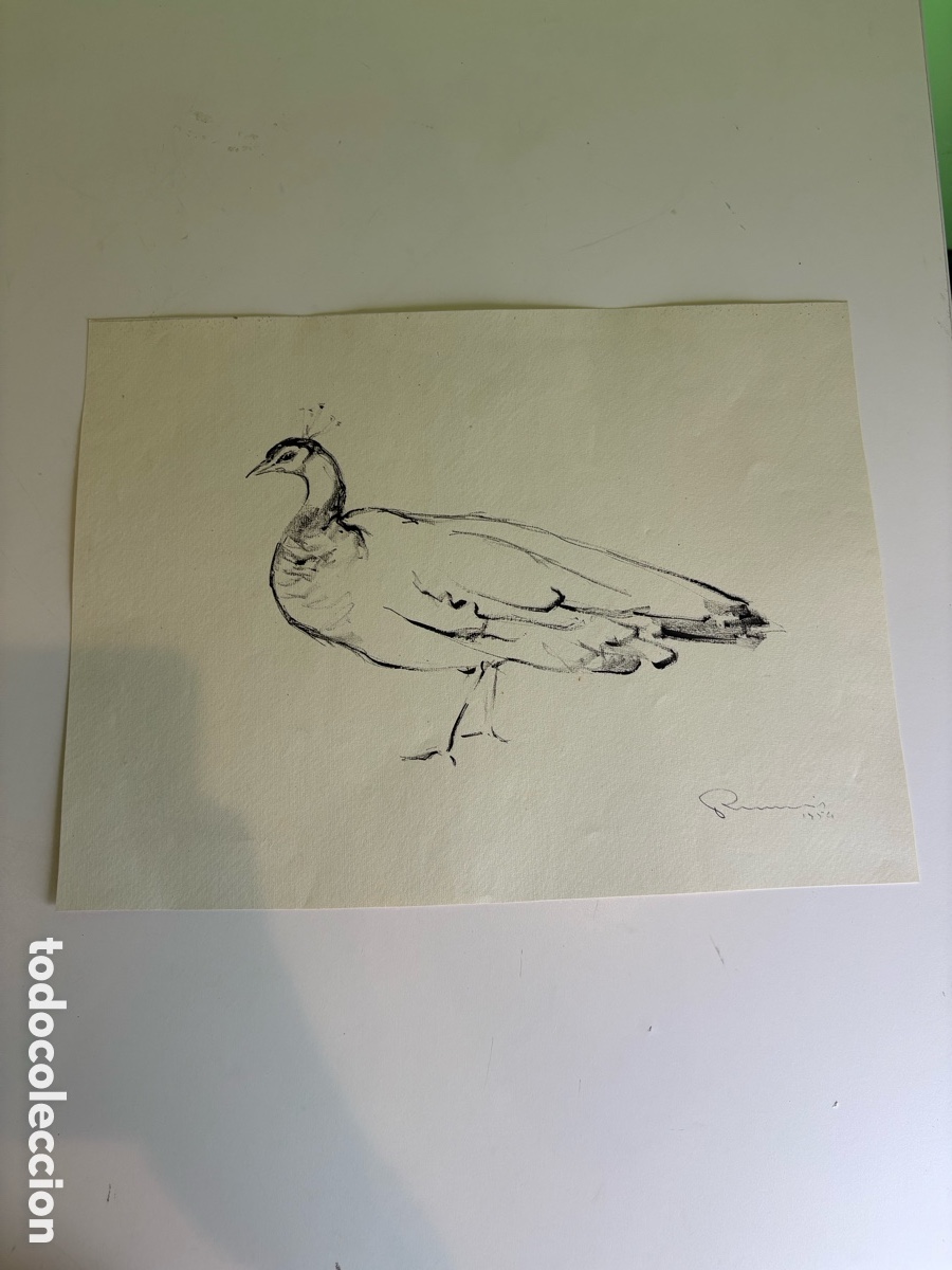 Art: Carles Prun&eacute;s (1937-2017) &ndash; Dibujo sobre papel, estudio de ave colgante