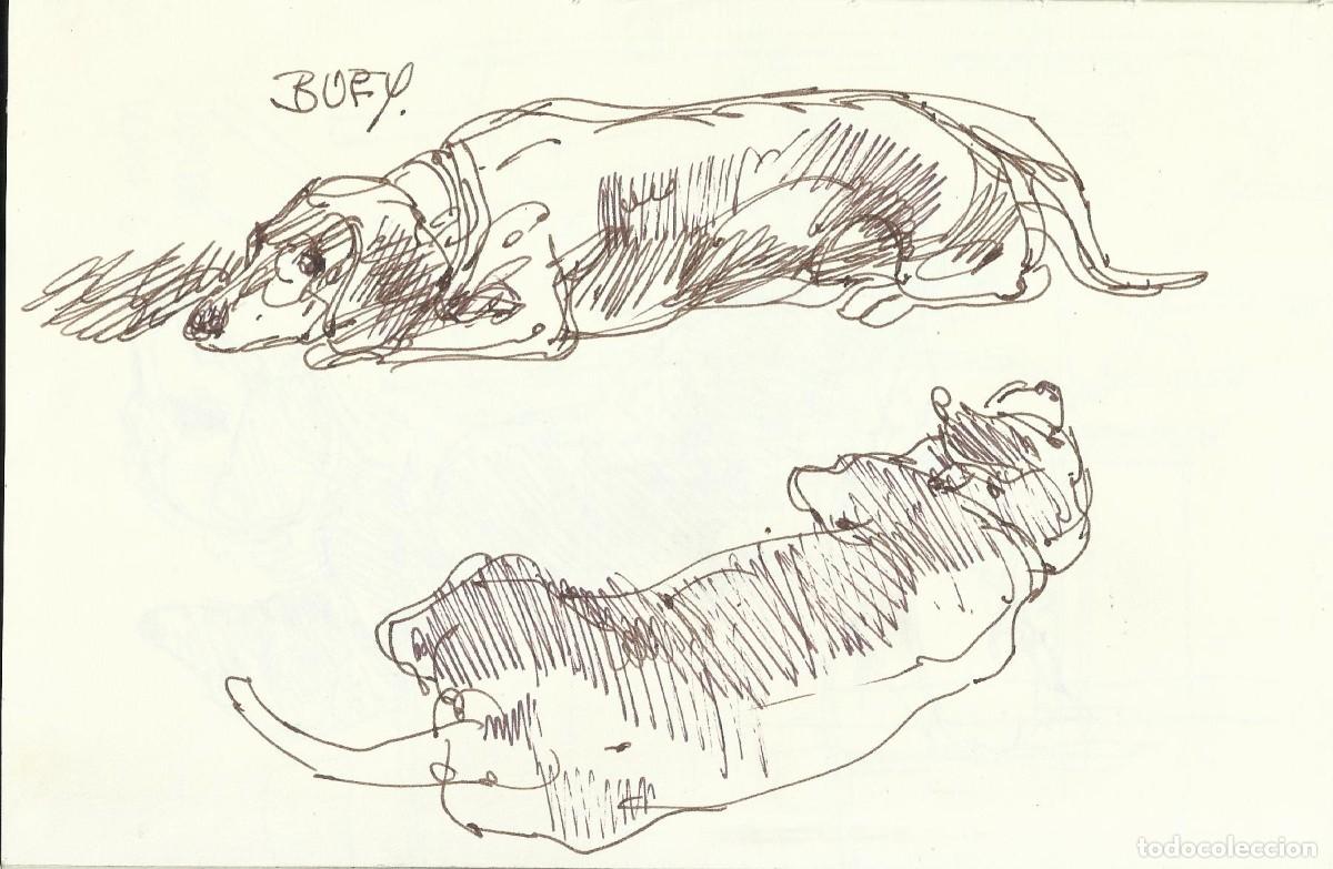Arte: Carlos Enrique Lencinas G&oacute;mez. Tinta sobre papel. &rdquo;Apunte: perro Bufy&rdquo;. Sin firmar. 15x23 cm.
