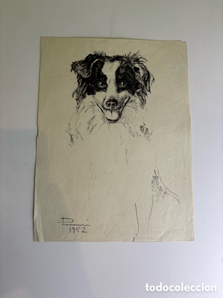 Arte: Carles Prun&eacute;s (1937-2017) &ndash; Retrato de perro sobre papel firmado, 1952