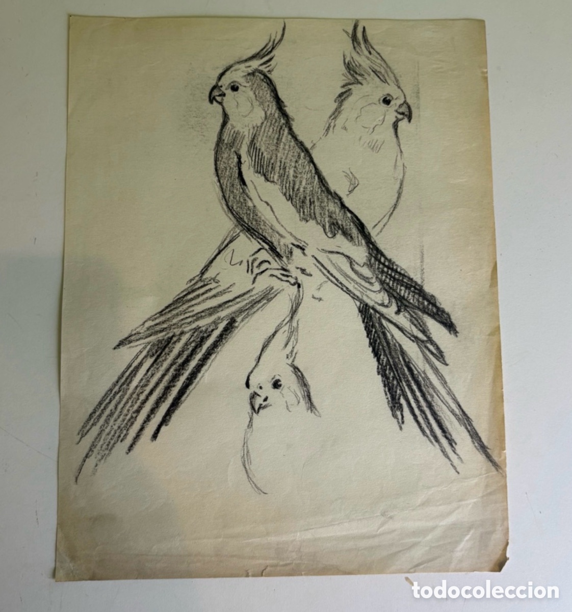 Arte: Carles Prun&eacute;s (1937-2017) &ndash; Estudio de ninfas, dibujo de aves sobre papel