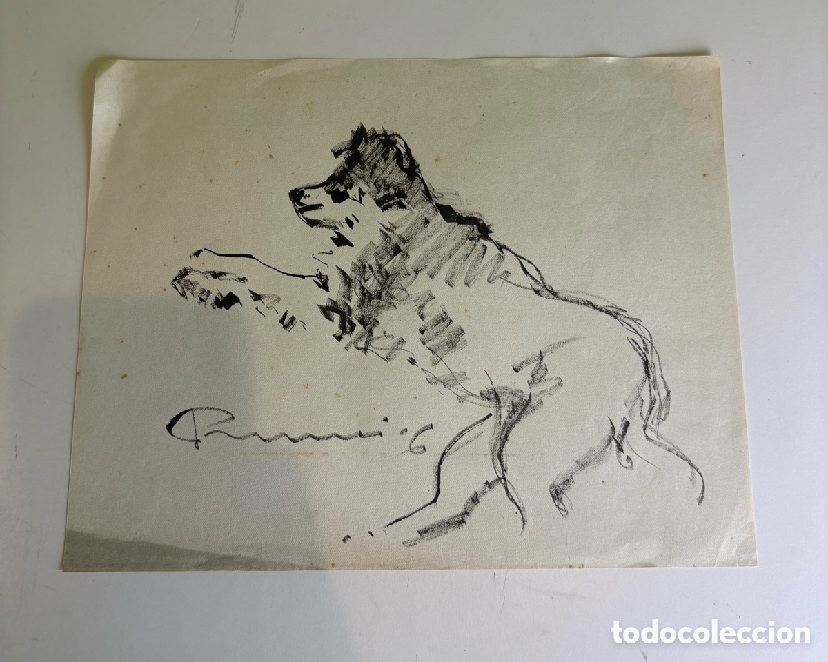 Arte: Carles Prun&eacute;s (1937-2017) &ndash; Estudio de perro sobre papel, firmado 1961