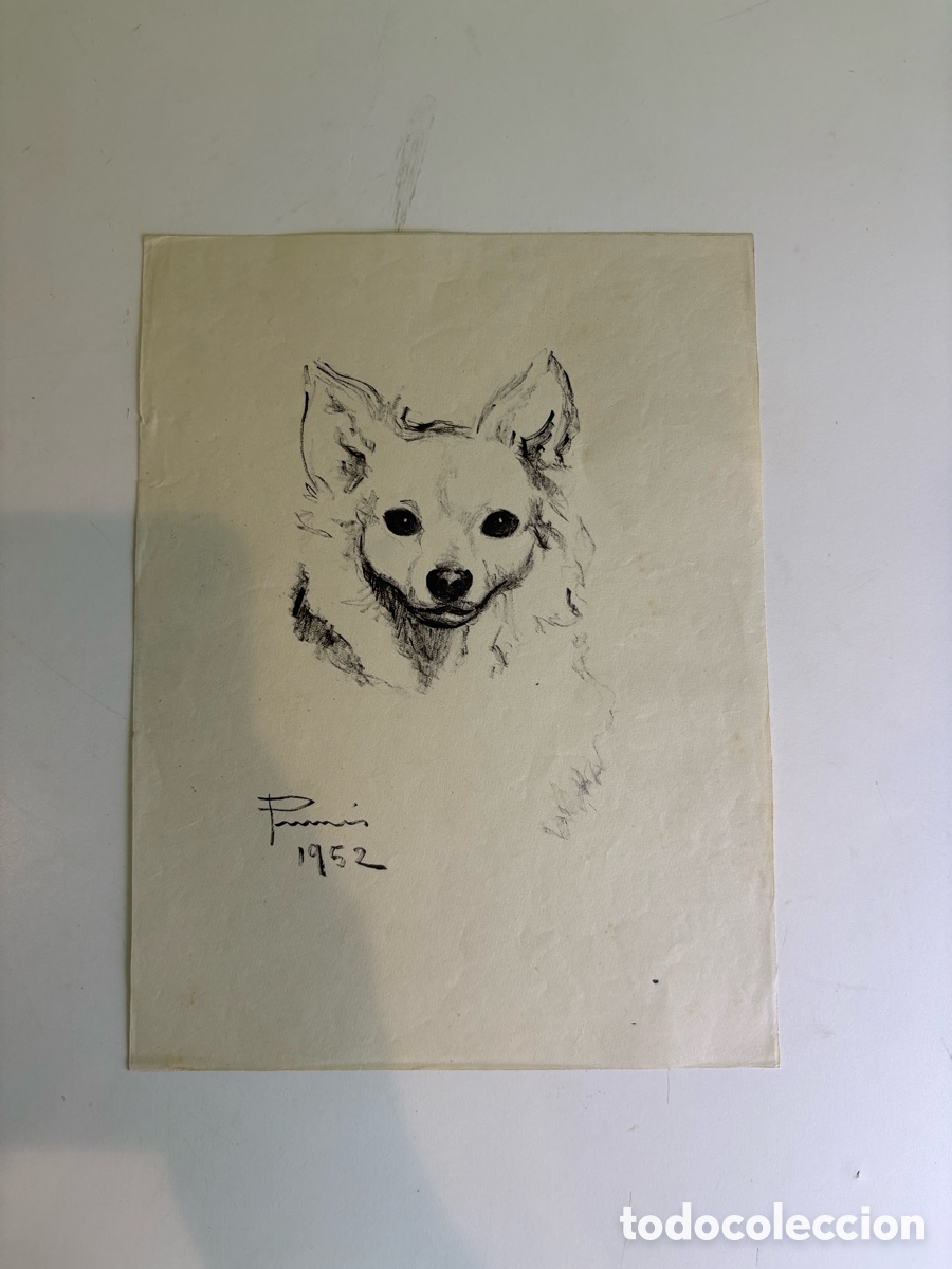 Arte: Carles Prun&eacute;s (1937-2017) &ndash; Estudio de perro sobre papel, firmado 1952