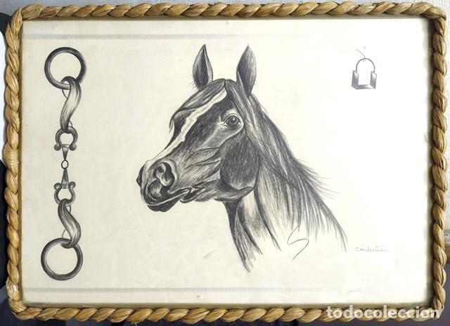 Arte: DIBUJO A CARBON CABEZA DE CABALLO CON BOCADO DE ANILLAS ENMARCADO CON CUERDA Y CRISTAL - CUADRO-1150