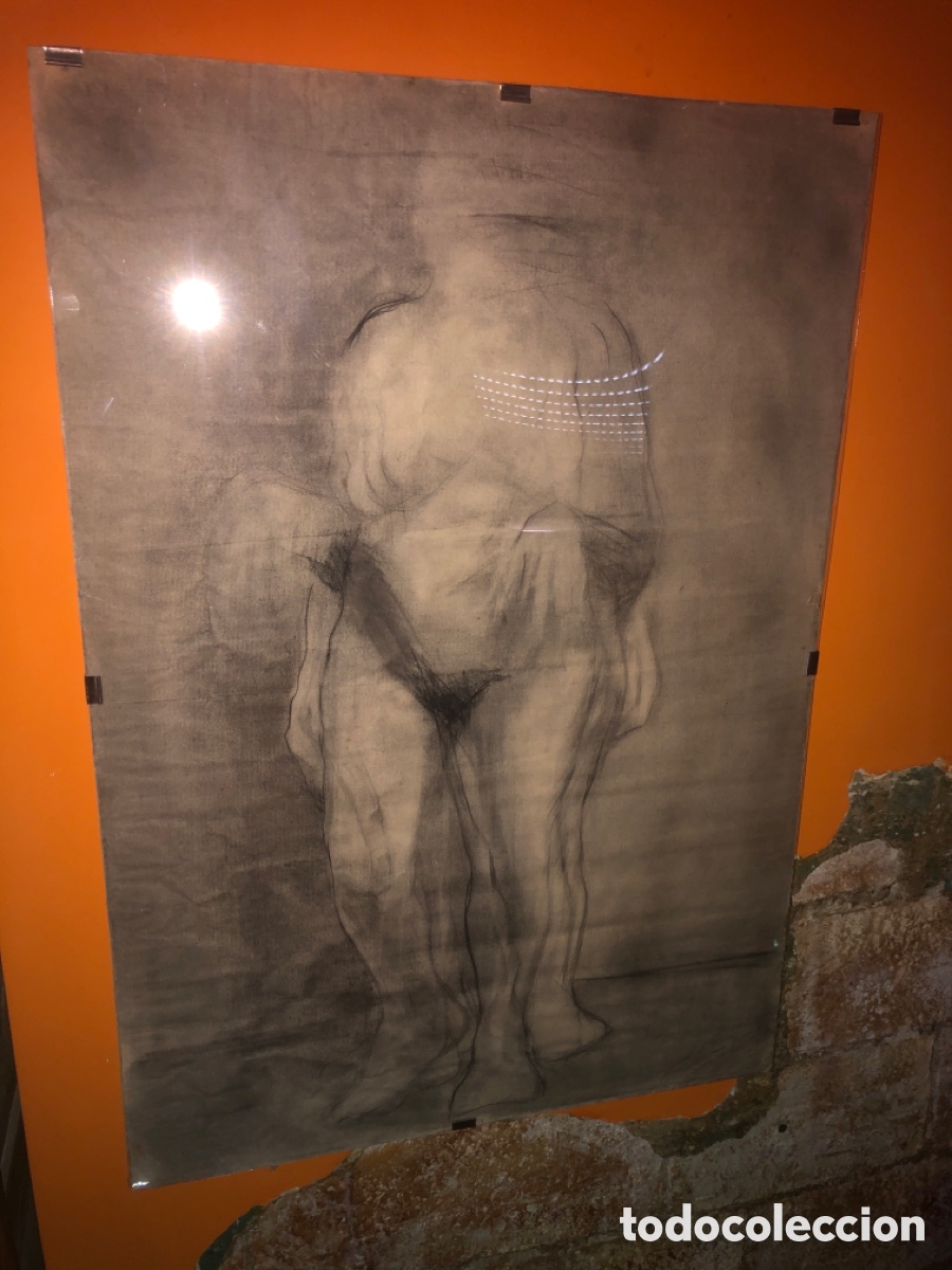Arte: Dibujo carboncillo desnudo femenino (100x70 )