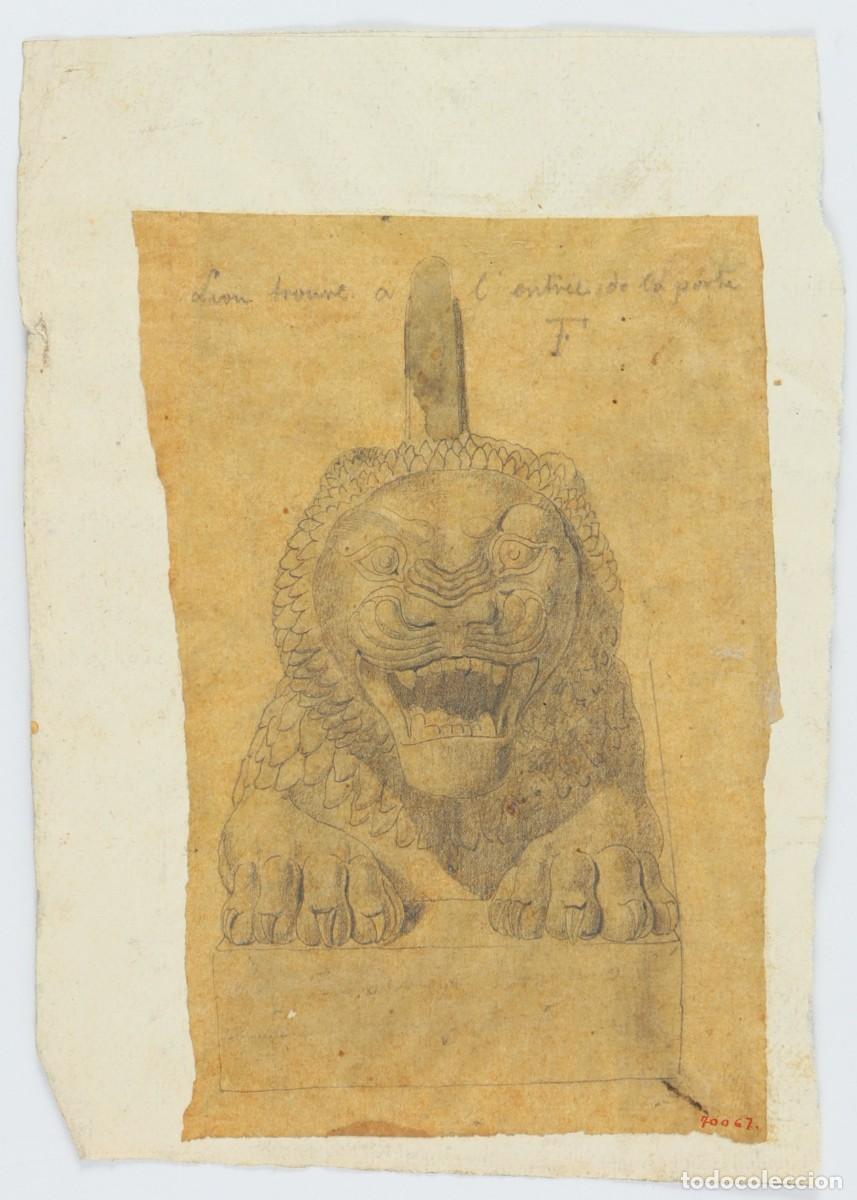 Arte: Lion trouv&eacute; &agrave; l&rsquo;entr&eacute;e de la porte F