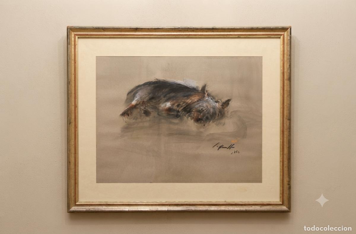 Arte: Yorkshire. Jaume Queralt. Pastel sobre papel