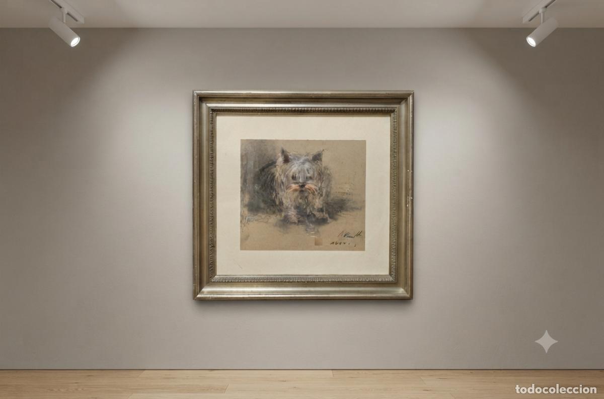 Arte: Yorkshire. Jaume Queralt. Pastel sobre papel