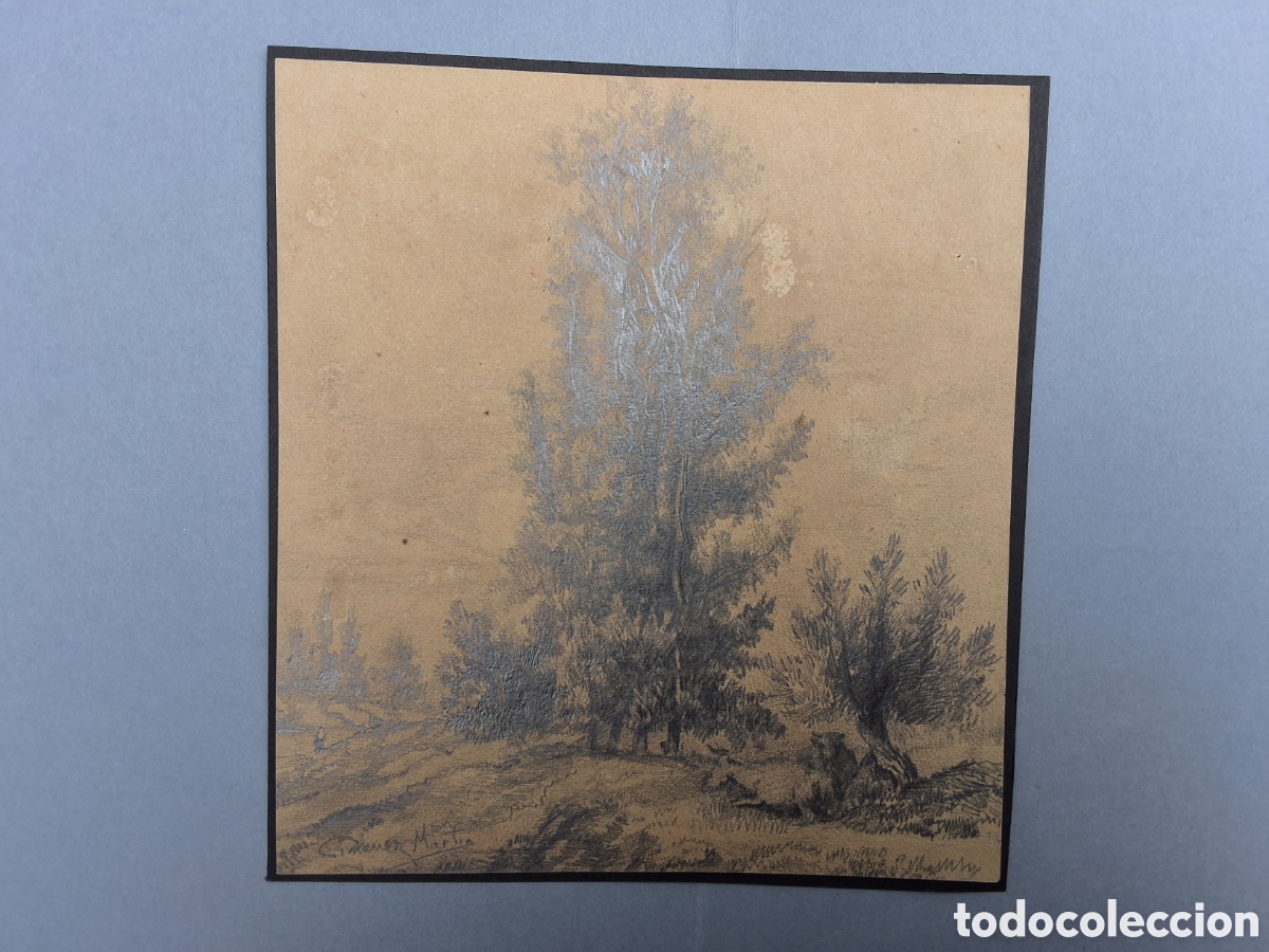 Arte: Juan Jim&eacute;nez Mart&iacute;n. Arboles.