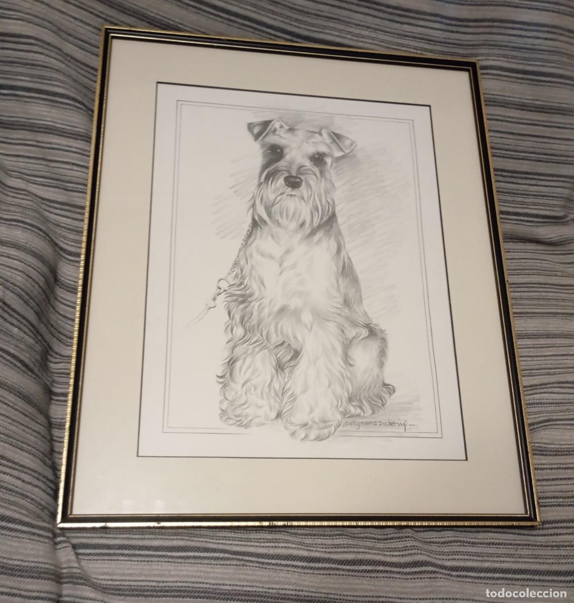 Arte: ARTE PINTURA DE L&Aacute;PIZ DE 1 SCHNAUZER REALIZADO Y FIRMADO POR LA ARTISTA POLLYANNA PICKERING