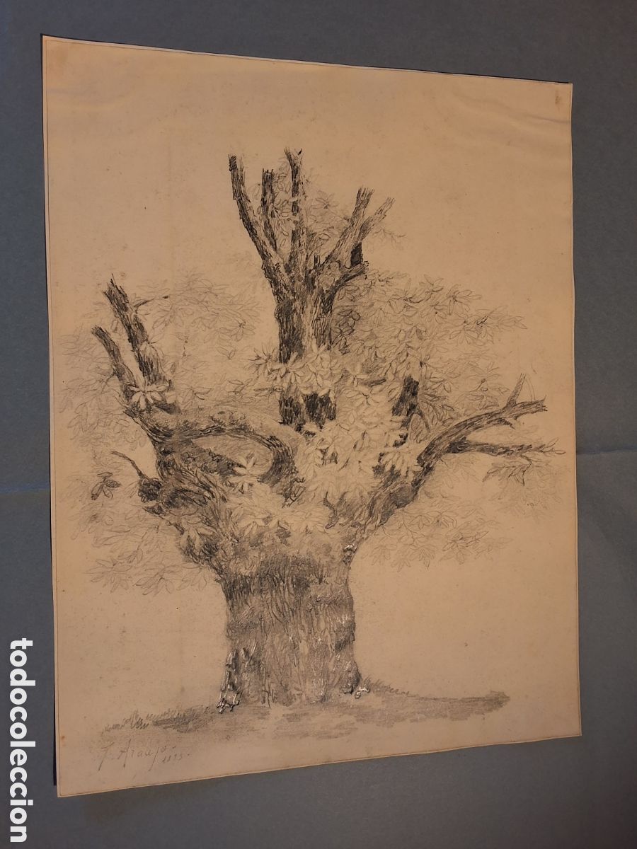 Arte: Joaquin Araujo. Arbol.