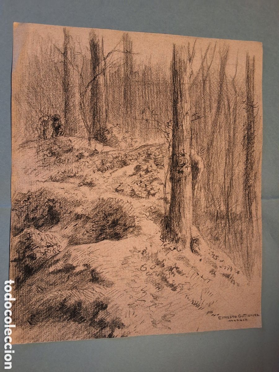 Arte: Ernesto Guti&eacute;rrez. El bosque.