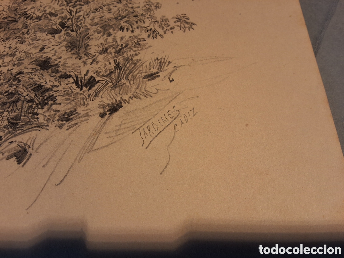 Arte: Antonio Jardines. Arbol. - Foto 2