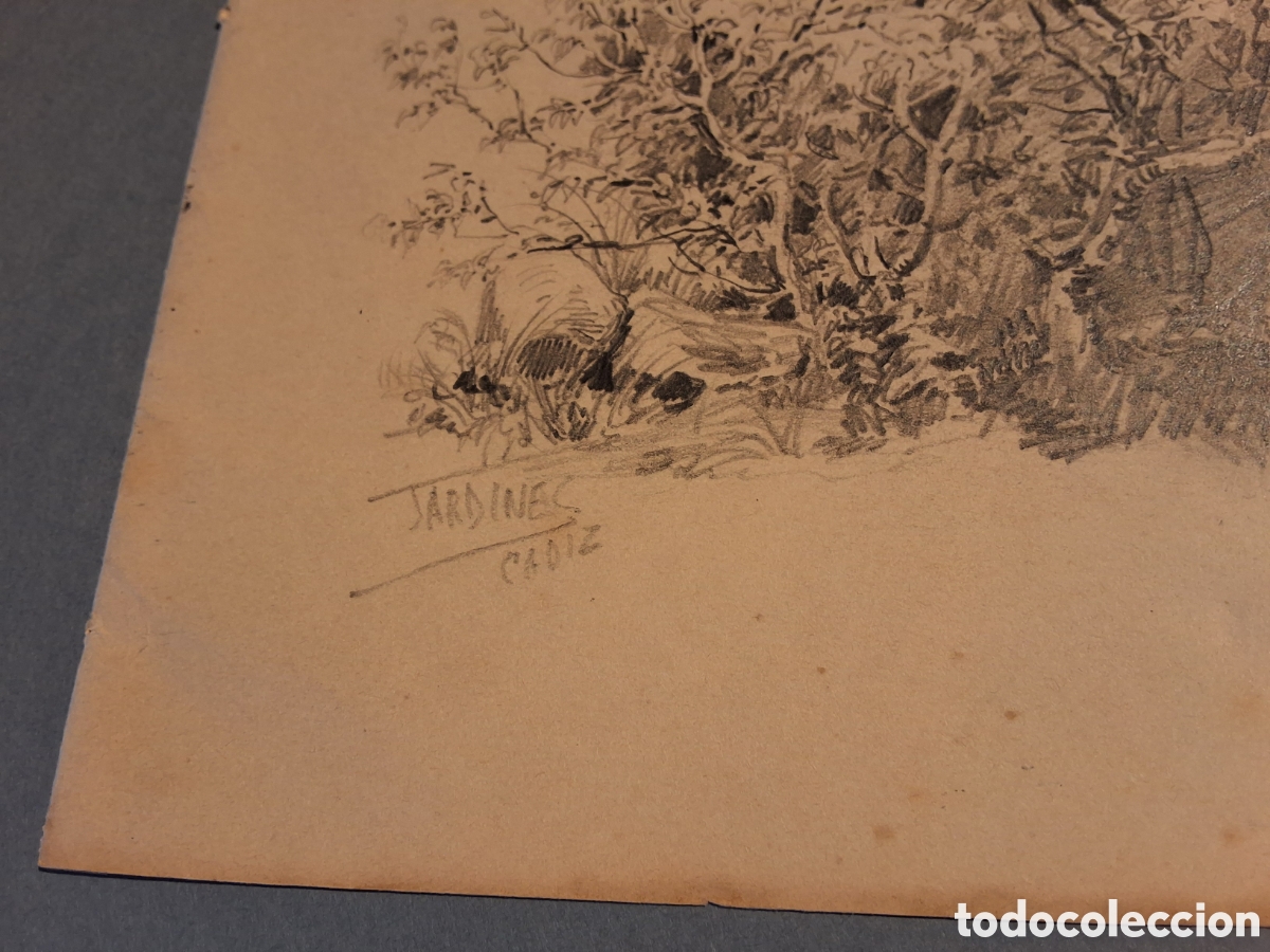 Arte: Antonio Jardines. Arbustos. - Foto 2