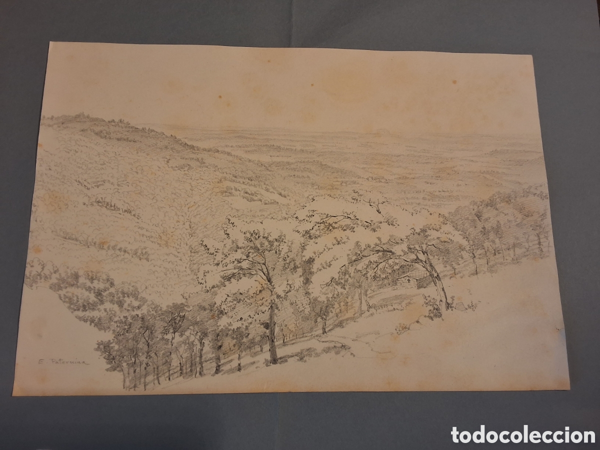 Arte: Enrique Paternina. Paisaje.