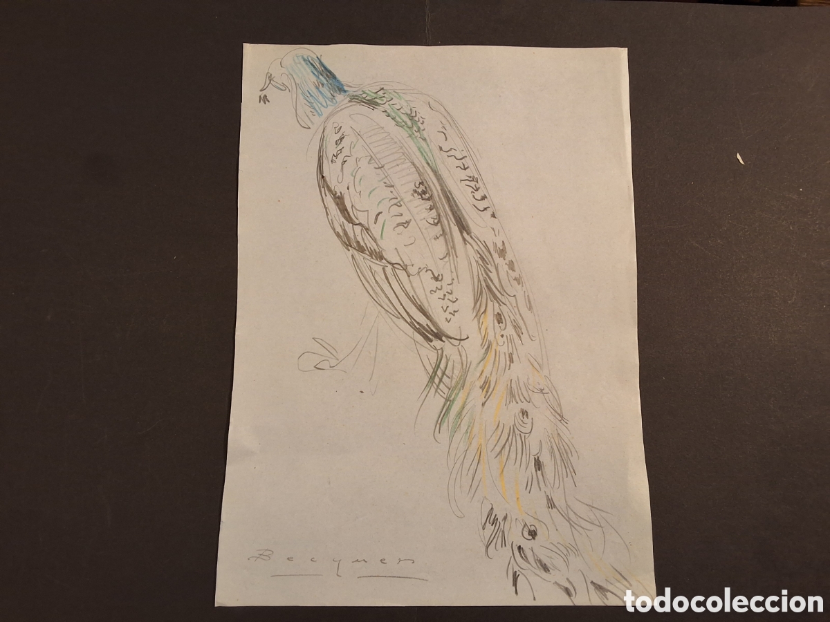 Arte: Carlos Becquer. Pavo Real.