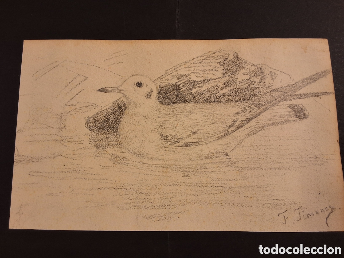 Arte: Federico Jim&eacute;nez. Gaviota.