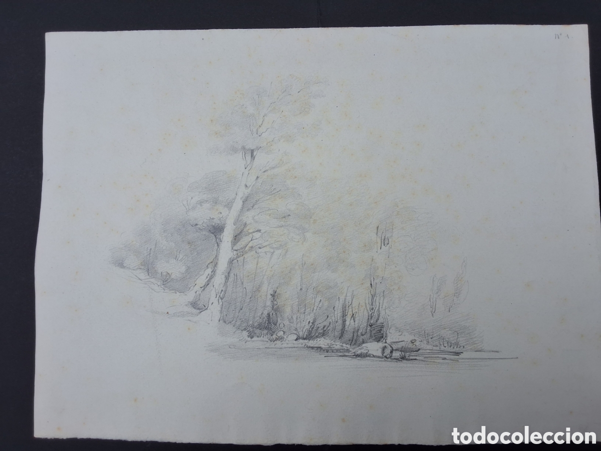 Arte: Anonimo. Paisaje y &aacute;rboles.