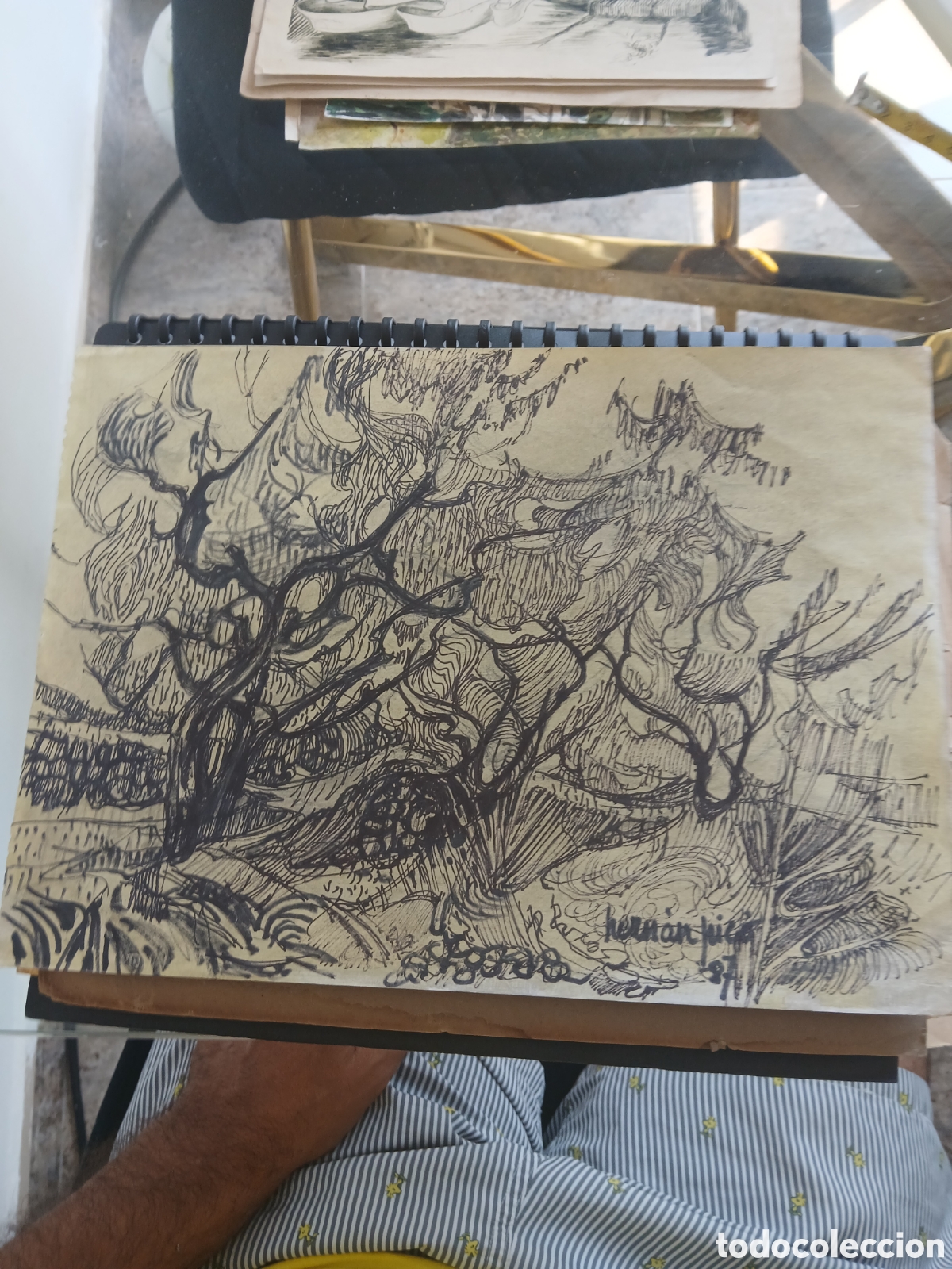 Arte: Dibujo original firmado hernan pico