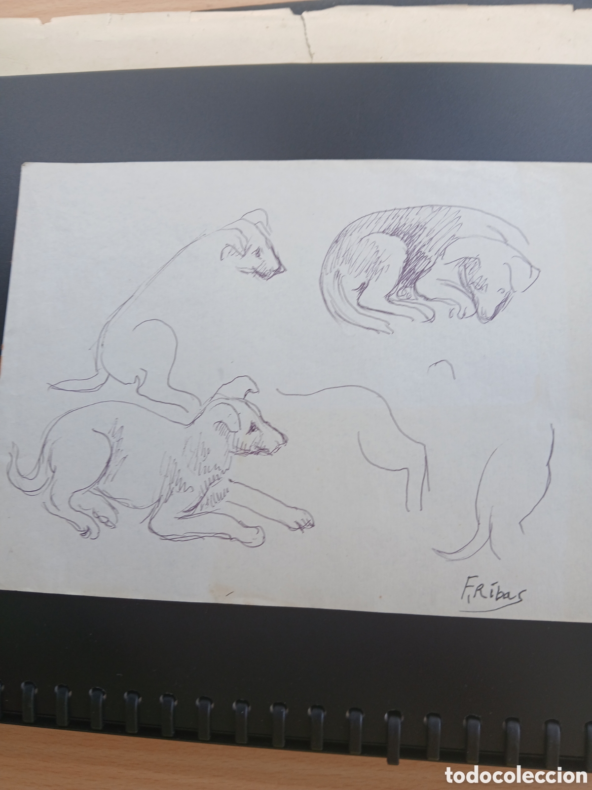Arte: Dibujo firmado f ribas