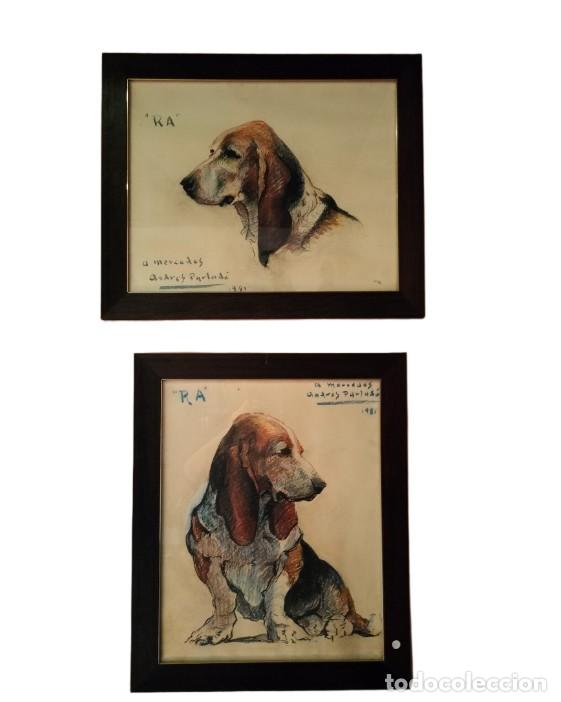 Arte: RETRATOS DE PERRO BASSET HOUND. FIRMADO ANDRES PARLAD&Eacute;. DIBUJO A LA CERA SOBRE PAPEL. ESPA&Ntilde;A. 1981