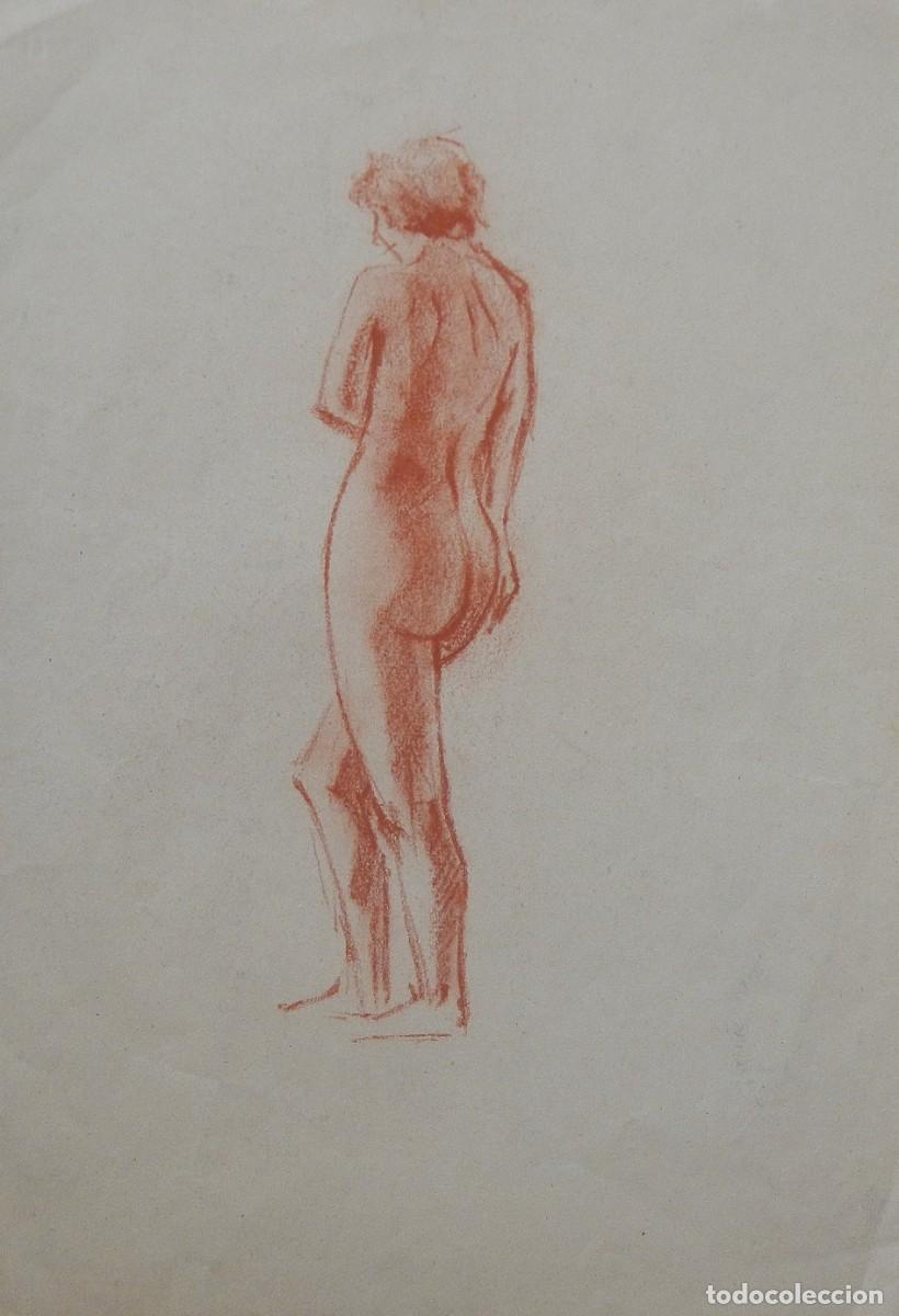 Arte: Manuel Vicente Mora. Carboncillo sobre papel. &rdquo;Desnudo femenino&rdquo;. Sin firmar. 40x28 cm.