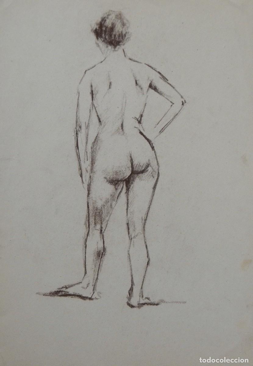 Art: Manuel Vicente Mora. Carboncillo sobre papel. &rdquo;Desnudo femenino&rdquo;. Sin firmar. 40x28 cm.