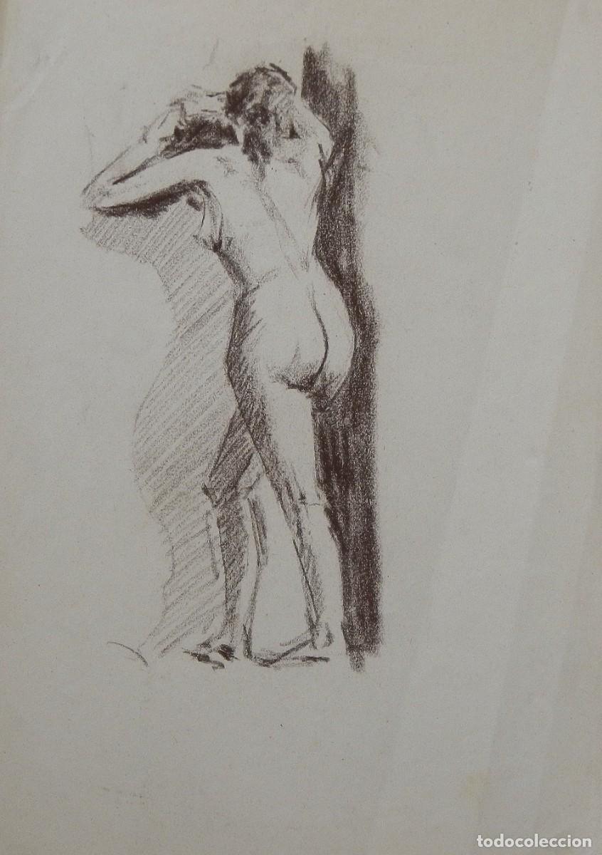 Arte: Manuel Vicente Mora. Carboncillo sobre papel. &rdquo;Desnudo femenino&rdquo;. Sin firmar. 40x28 cm.