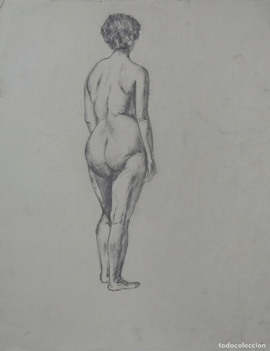 Arte: Manuel Vicente Mora. Carboncillo sobre papel. &rdquo;Desnudo femenino&rdquo;. Sin firmar. 43x34 cm.