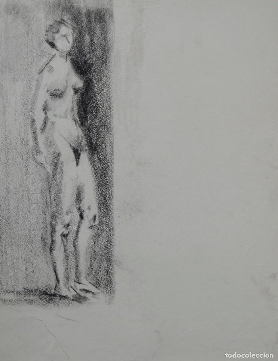 Arte: Manuel Vicente Mora. Carboncillo sobre papel. &rdquo;Desnudo femenino&rdquo;. Sin firmar. 43x34 cm.