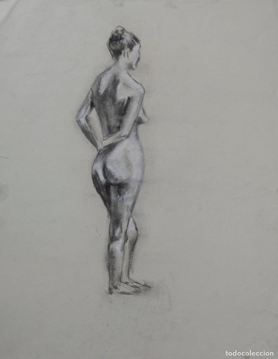 Arte: Manuel Vicente Mora. Carboncillo y clari&oacute;n sobre papel. &rdquo;Desnudo femenino&rdquo;. Sin firmar. 43x34 cm.