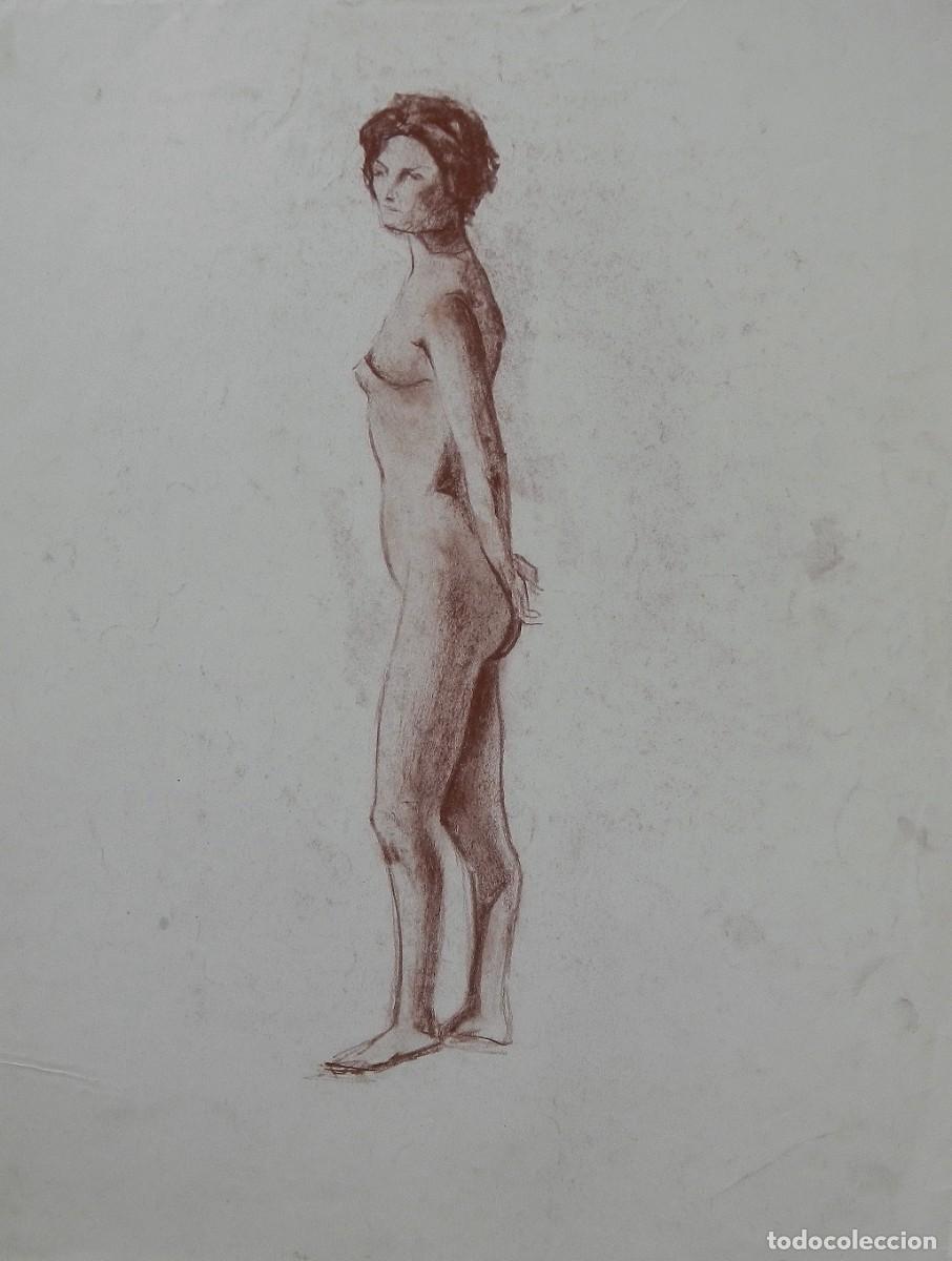 Arte: Manuel Vicente Mora. Carboncillo sobre papel. &rdquo;Desnudo femenino&rdquo;. Sin firmar. 43x34 cm.