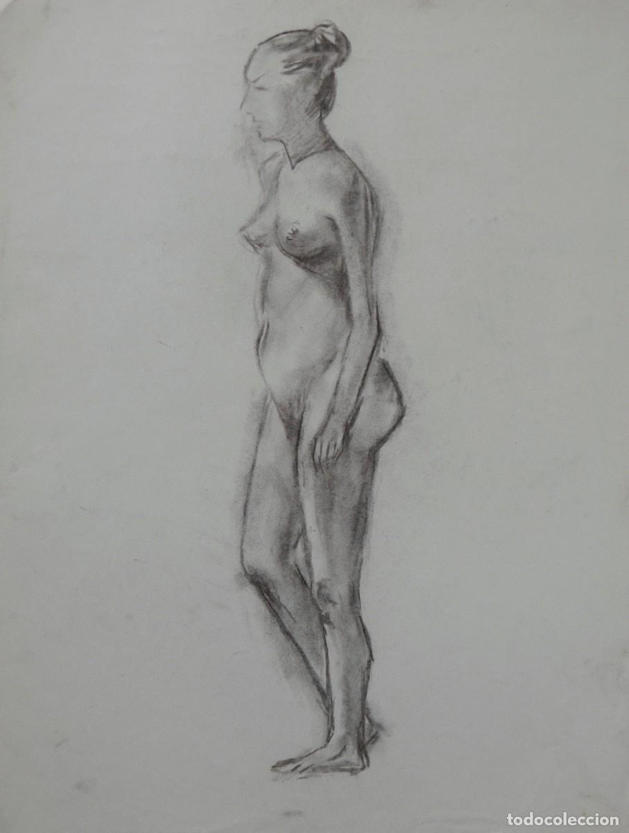 Arte: Manuel Vicente Mora. Carboncillo sobre papel. &rdquo;Desnudo femenino&rdquo;. Sin firmar. 43x34 cm.