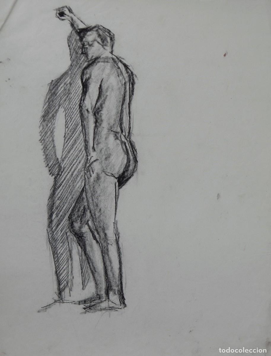 Arte: Manuel Vicente Mora. Carboncillo sobre papel. &rdquo;Desnudo masculino&rdquo;. Sin firmar. 43x34 cm.