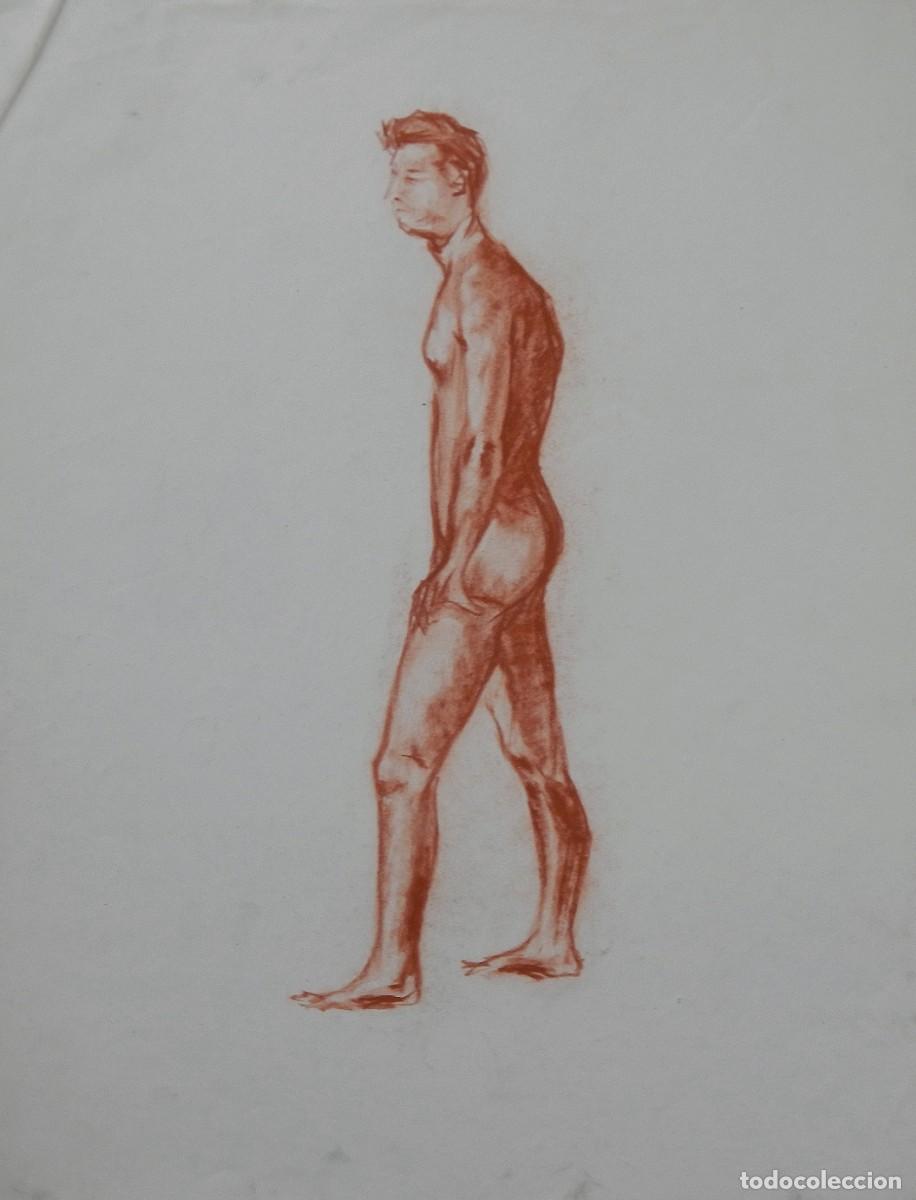 Arte: Manuel Vicente Mora. Carboncillo sobre papel. &rdquo;Desnudo masculino&rdquo;. Sin firmar. 43x34 cm.