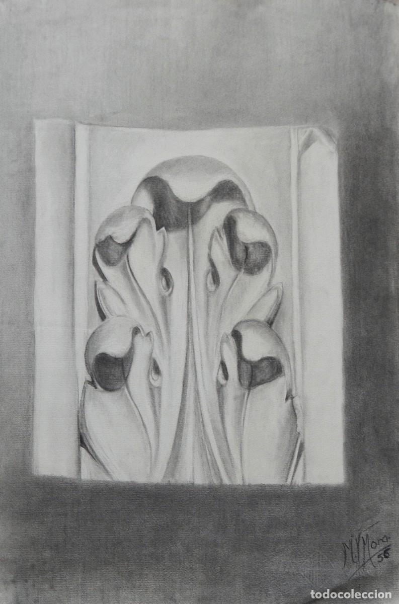 Arte: Manuel Vicente Mora. Carboncillo sobre papel. &rdquo;Apunte vegetal&rdquo;. Firmado a mano. 47x31 cm.