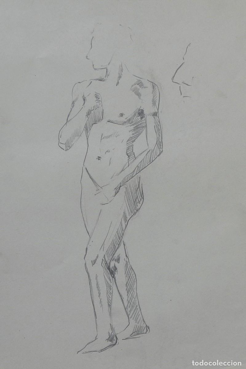 Arte: Manuel Vicente Mora. Carboncillo sobre papel. &rdquo;Desnudo femenino&rdquo;. Sin firmar. 31x22 cm.