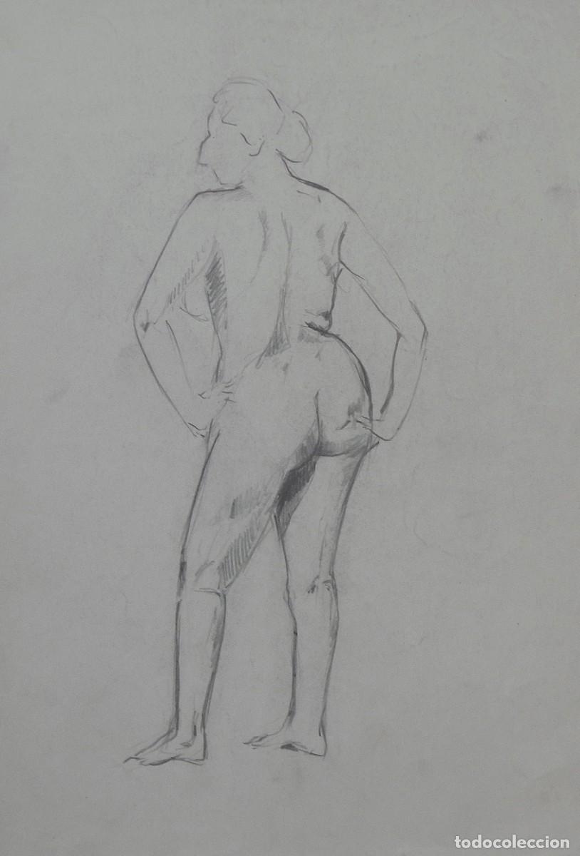 Arte: Manuel Vicente Mora. Carboncillo sobre papel. &rdquo;Desnudo femenino&rdquo;. Sin firmar. 31x22 cm.