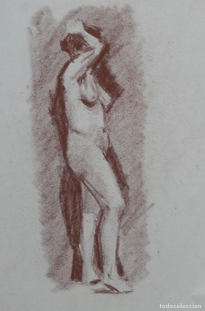 Arte: Manuel Vicente Mora. Carboncillo sobre papel. &rdquo;Desnudo femenino&rdquo;. Sin firmar. 31x22 cm.