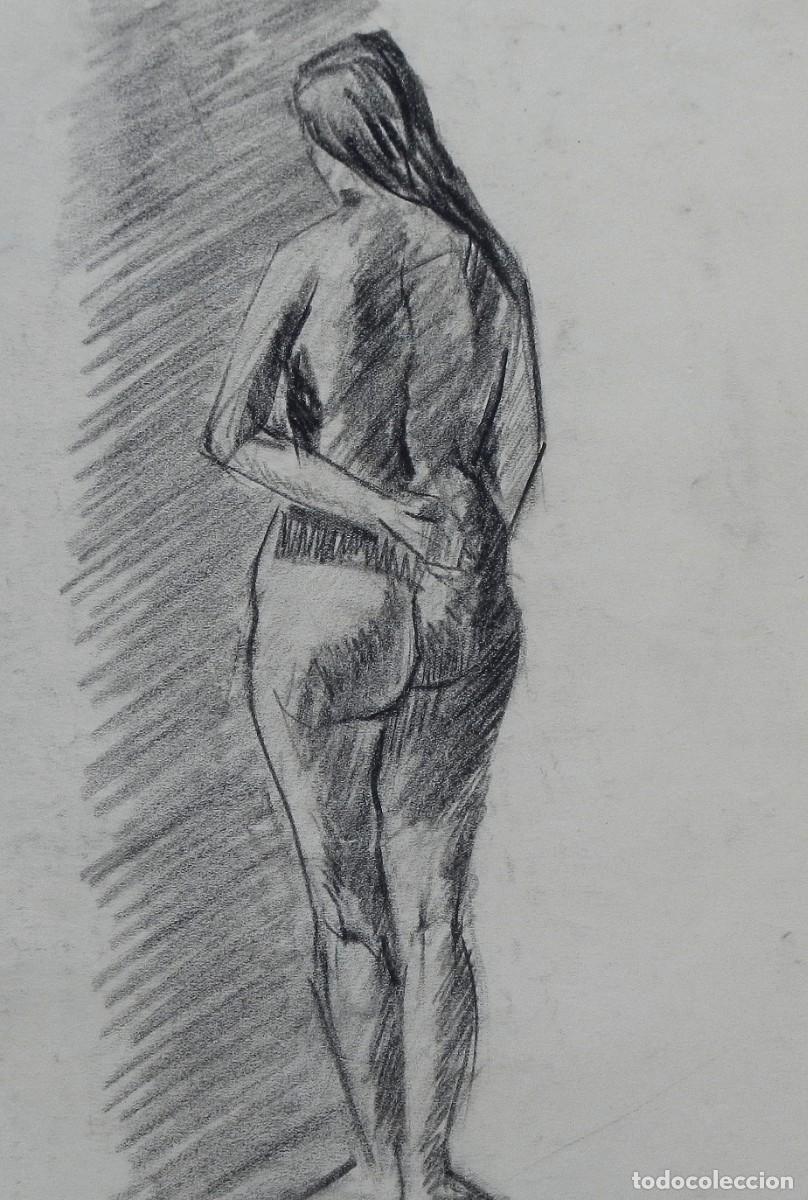 Arte: Manuel Vicente Mora. Carboncillo sobre papel. &rdquo;Desnudo femenino&rdquo;. Sin firmar. 31x22 cm.