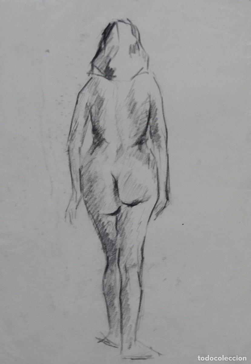 Arte: Manuel Vicente Mora. Carboncillo sobre papel. &rdquo;Desnudo femenino&rdquo;. Sin firmar. 31x22 cm.