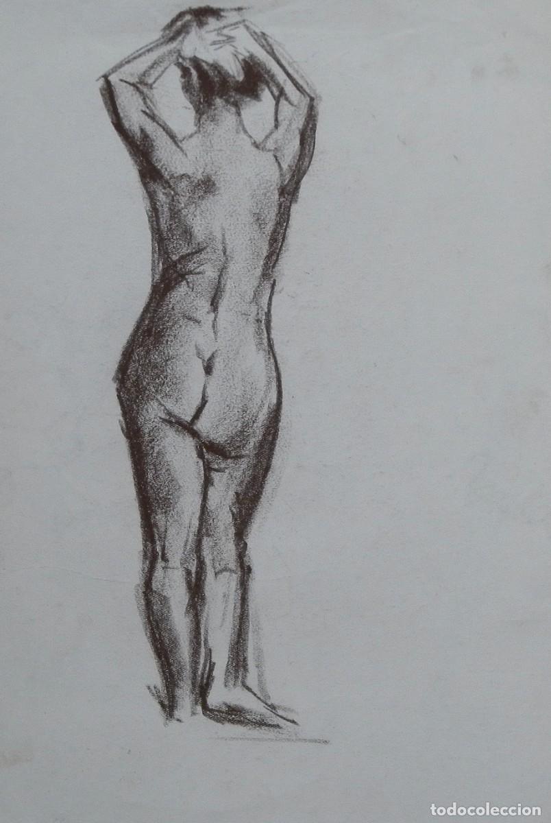 Arte: Manuel Vicente Mora. Carboncillo sobre papel. &rdquo;Desnudo femenino&rdquo;. Sin firmar. 31x22 cm.
