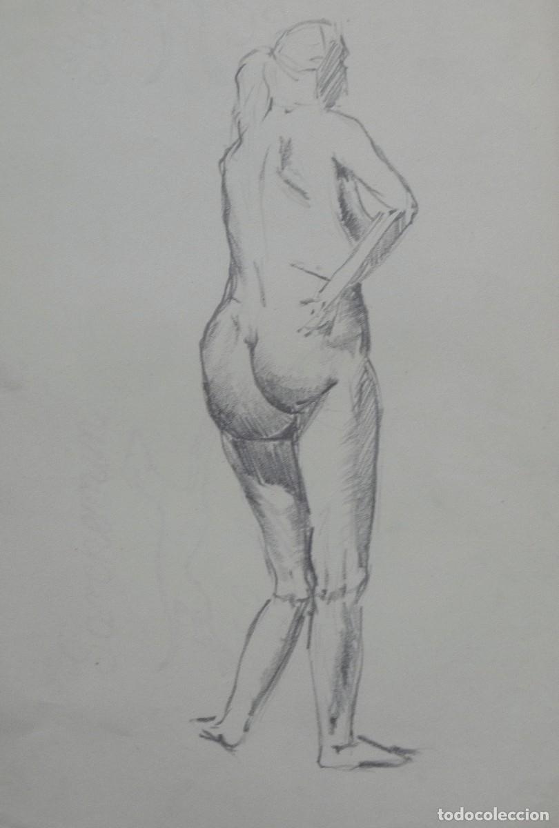 Arte: Manuel Vicente Mora. Carboncillo sobre papel. &rdquo;Desnudo femenino&rdquo;. Sin firmar. 31x22 cm.
