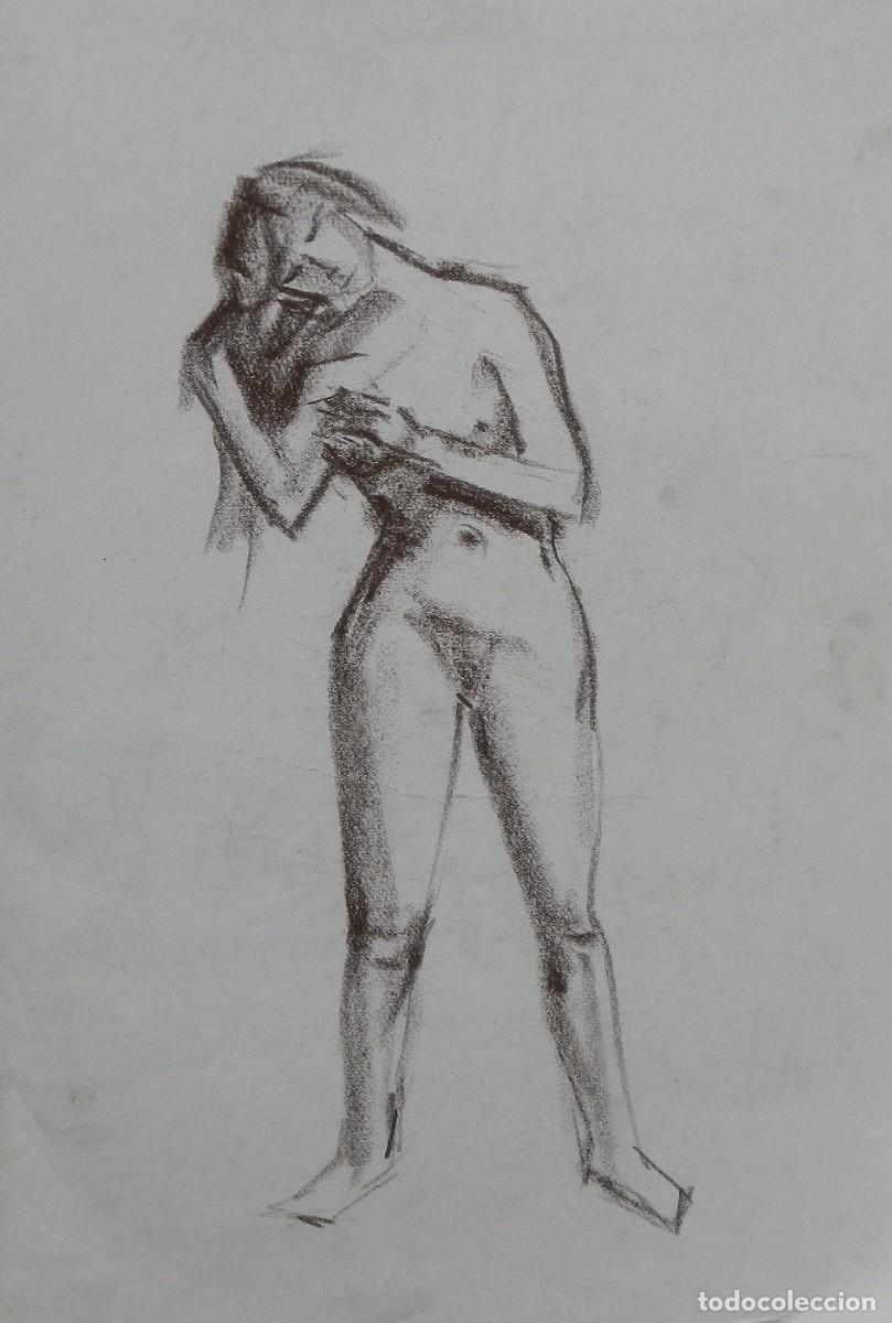 Arte: Manuel Vicente Mora. Carboncillo sobre papel. &rdquo;Desnudo femenino&rdquo;. Sin firmar. 31x22 cm.