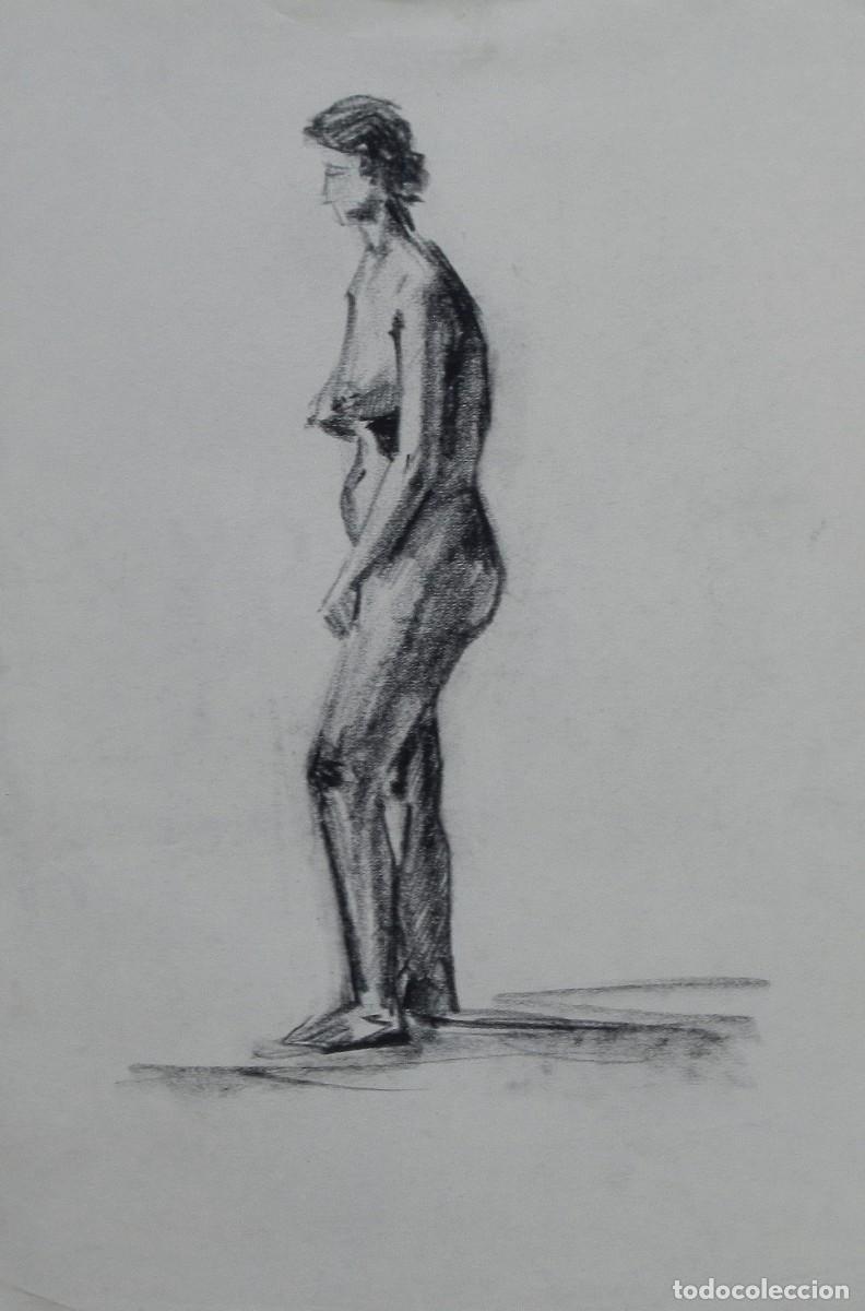 Arte: Manuel Vicente Mora. Carboncillo sobre papel. &rdquo;Desnudo femenino&rdquo;. Sin firmar. 31x22 cm.