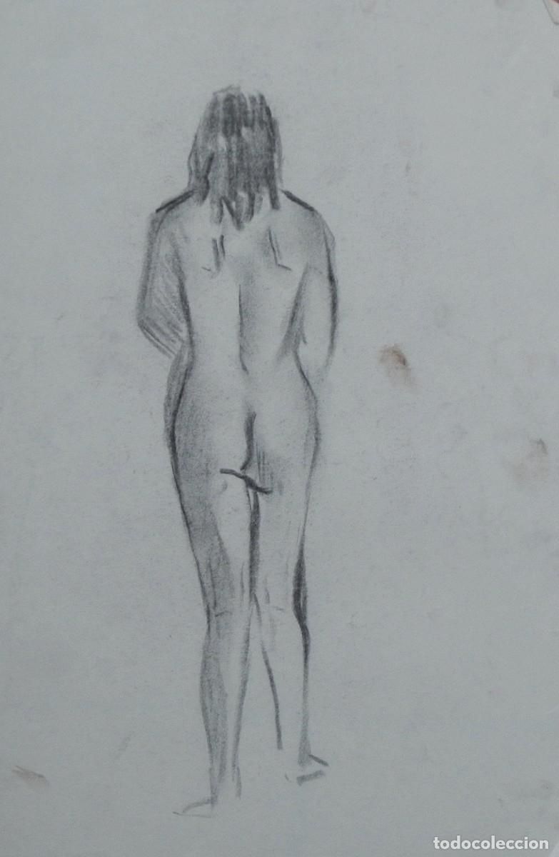 Arte: Manuel Vicente Mora. Carboncillo sobre papel. &rdquo;Desnudo femenino&rdquo;. Sin firmar. 31x22 cm.